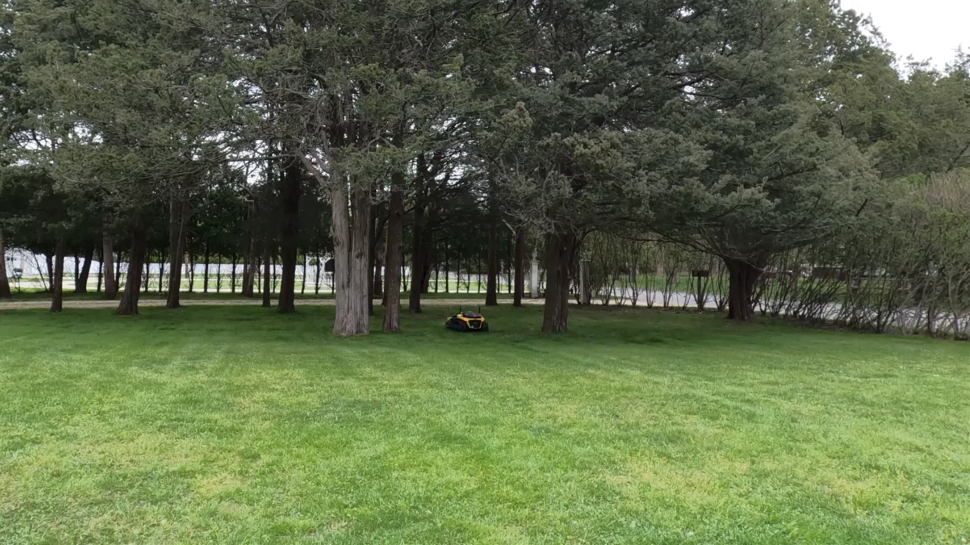 Precise Mowing Under Trees